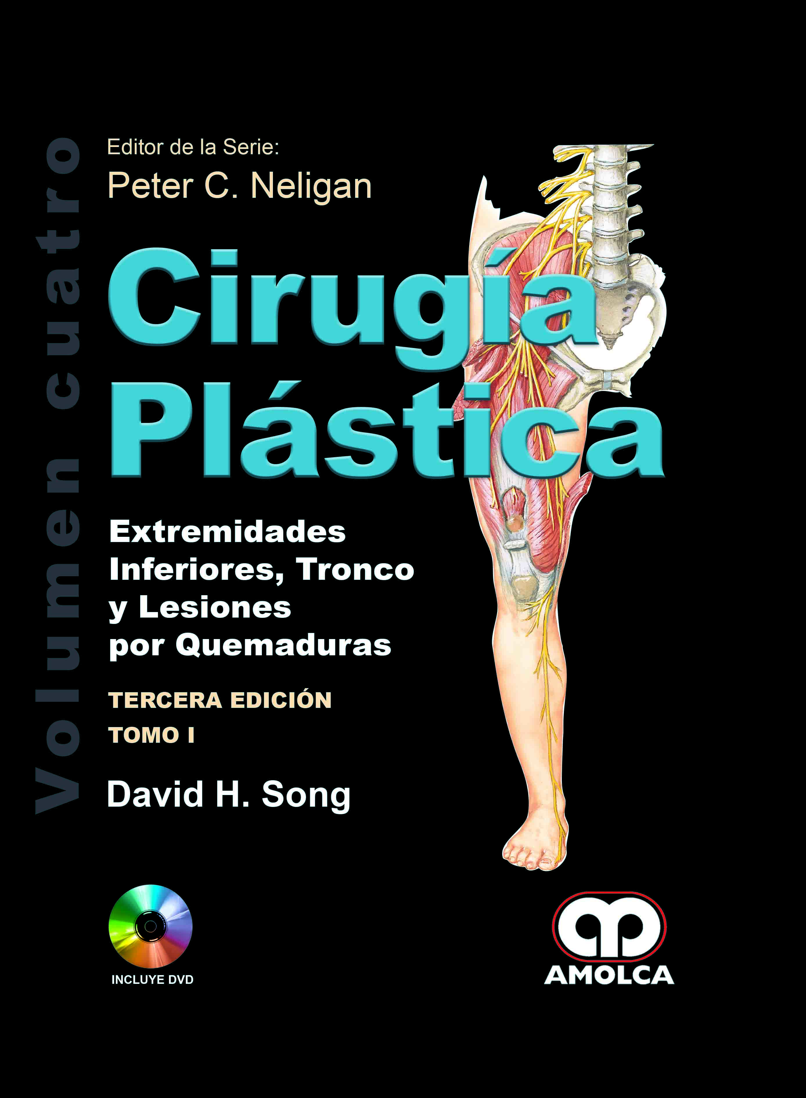 CIRUGÍA PLÁSTICA - EXTREMIDADES INFERIORES, TRONCO, Y LESIONES POR QUEMADURAS. VOLUMEN 4. 2 TOMOS