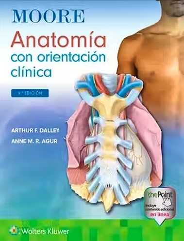 MOORE. ANATOMÍA CON ORIENTACIÓN CLÍNICA. 9 Ed.