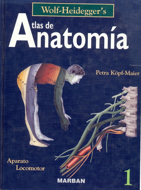 Atlas anatomia 1 aparato locomotor