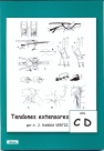 TENDONES EXTENSORES