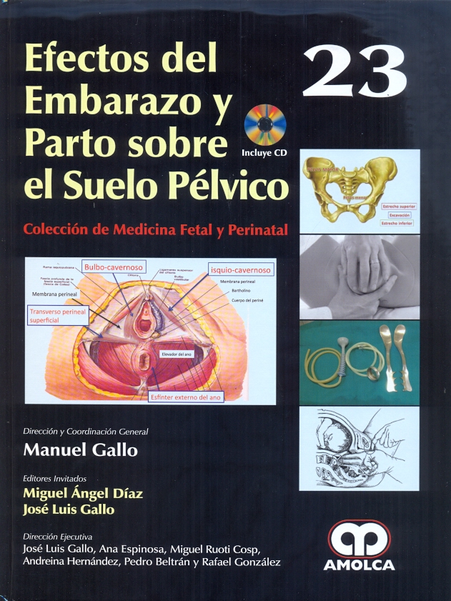 EFECTOS DEL EMBARAZO Y EL PARTO SOBRE EL SUELO PÉLVICO