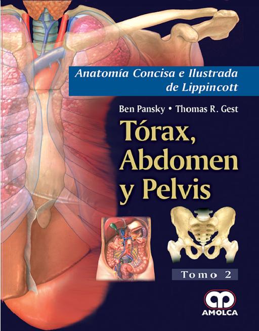 Anatomía Concisa e Ilustrada de Lippincott –
Tórax, Abdomen y Pelvis