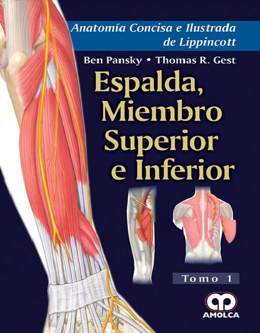 Anatomía Concisa e Ilustrada de Lippincott –
Espalda Miembro Superior e Inferior